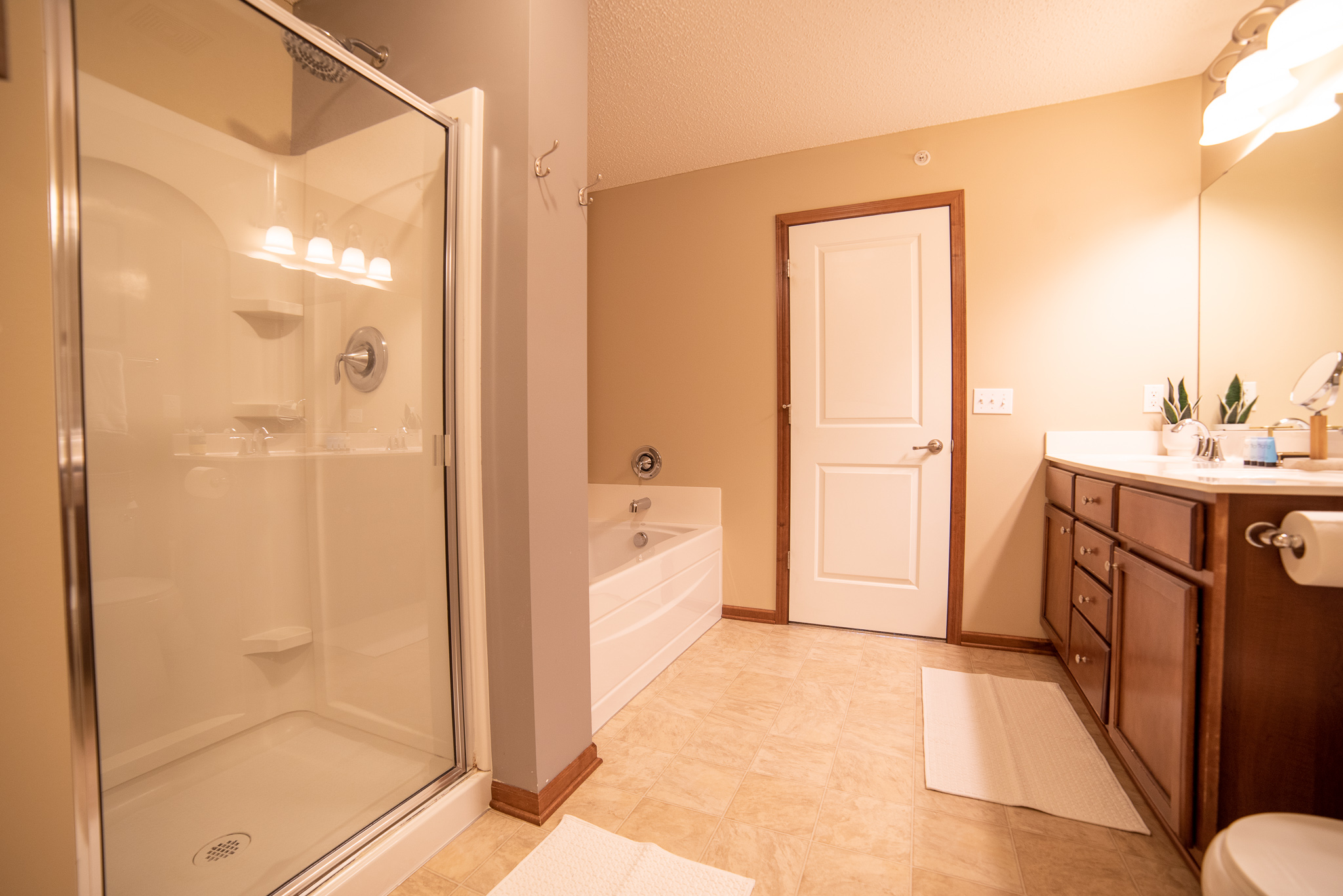 15657 Primary bath 2
